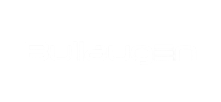footer-logo bullaugen